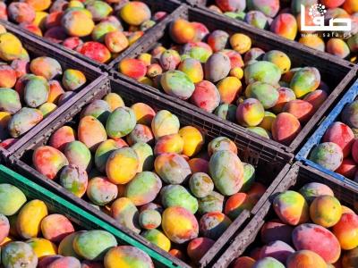 WhatsApp Image 2023-08-02 at 3.16.03 PM (2)