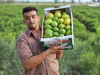 WhatsApp Image 2023-08-22 at 9.53.19 AM (1)