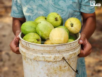 WhatsApp Image 2023-08-22 at 9.53.24 AM