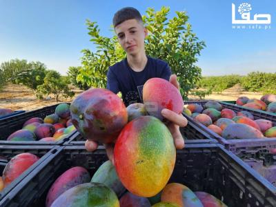 WhatsApp Image 2023-08-02 at 3.16.06 PM (3)