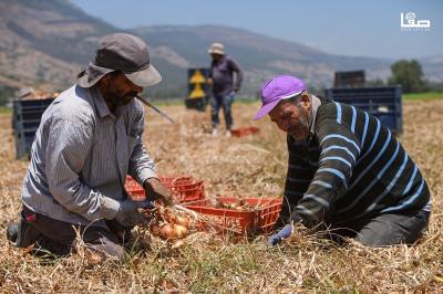 020823_APA_ZU_00 (3)