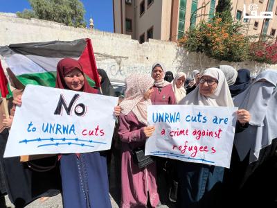 WhatsApp Image 2023-08-07 at 11.01.10 AM