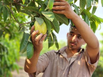 WhatsApp Image 2023-08-22 at 9.53.23 AM