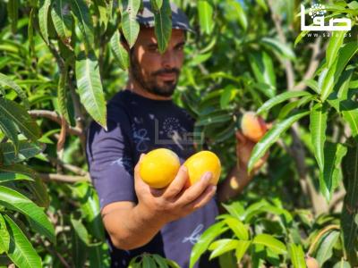 WhatsApp Image 2023-08-02 at 3.16.03 PM