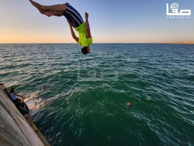 photo_٢٠٢٣-٠٨-٢٠_١٢-٠١-١٣ (2)