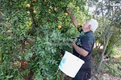 030923_GAZA_OSH_00 (20)