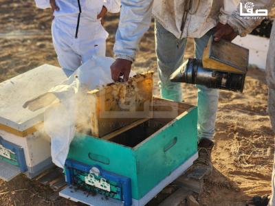 WhatsApp Image 2023-09-11 at 10.28.35 AM