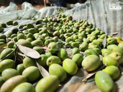 WhatsApp Image 2023-09-30 at 11.24.02 AM