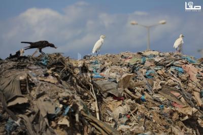 030923_GAZA_OSH_2_00 (15)