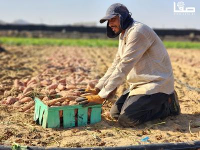 WhatsApp Image 2023-09-06 at 11.28.20 AM (2)