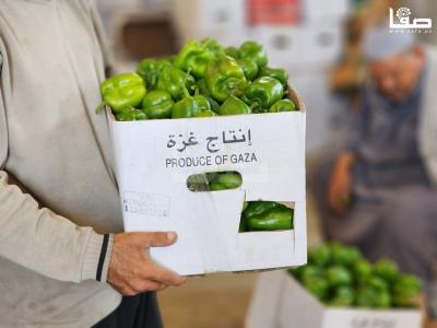 WhatsApp Image 2023-09-05 at 12.18.29 PM