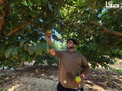 WhatsApp Image 2023-09-06 at 11.29.51 AM (2)