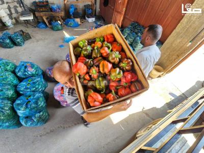 WhatsApp Image 2023-09-05 at 12.18.33 PM