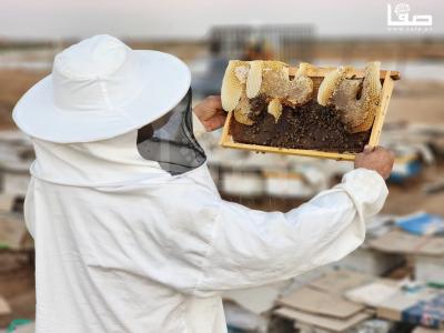 WhatsApp Image 2023-09-11 at 10.28.32 AM