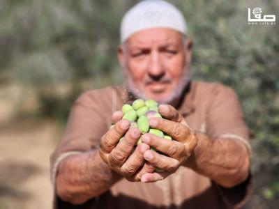 WhatsApp Image 2023-09-30 at 11.24.02 AM (1)