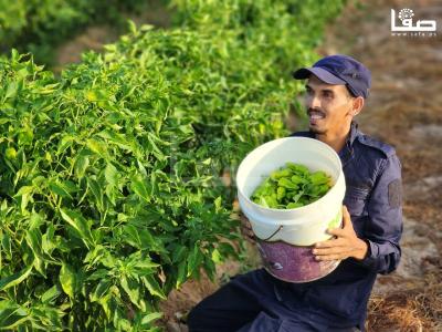 WhatsApp Image 2023-09-09 at 9.35.57 AM