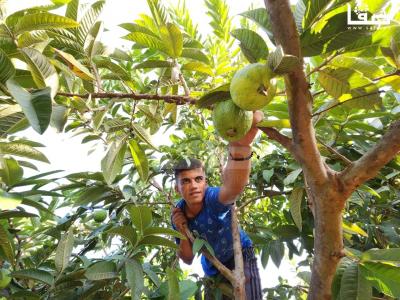 WhatsApp Image 2023-09-06 at 11.29.50 AM (2)