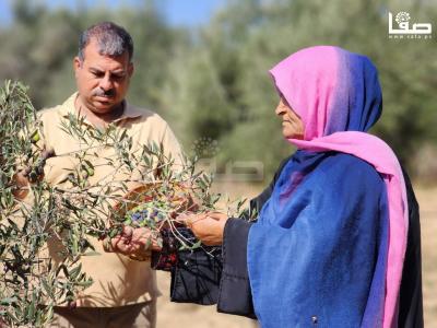 WhatsApp Image 2023-09-30 at 11.23.25 AM