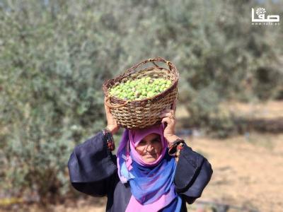 WhatsApp Image 2023-09-30 at 11.23.35 AM