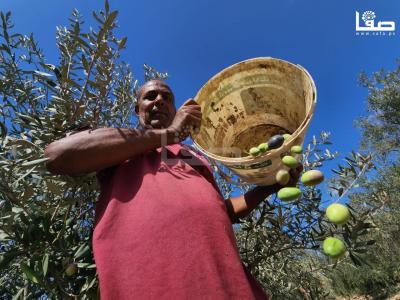 WhatsApp Image 2023-09-30 at 11.23.40 AM