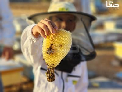 WhatsApp Image 2023-09-11 at 10.28.36 AM