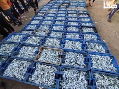 WhatsApp Image 2023-09-26 at 8.02.59 AM (1)