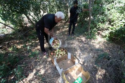 030923_GAZA_OSH_00 (25)