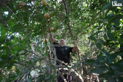 030923_GAZA_OSH_00 (28)