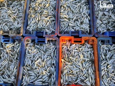 WhatsApp Image 2023-09-26 at 8.02.59 AM