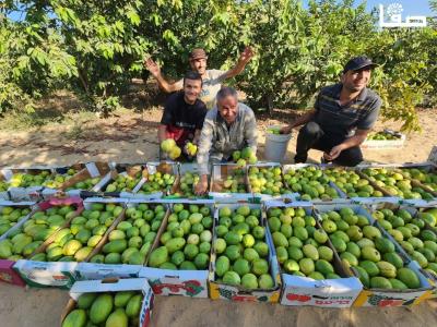 WhatsApp Image 2023-09-06 at 11.29.50 AM