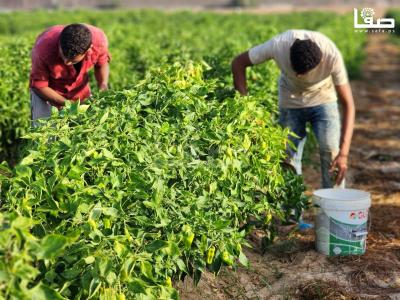 WhatsApp Image 2023-09-09 at 9.35.53 AM (1)