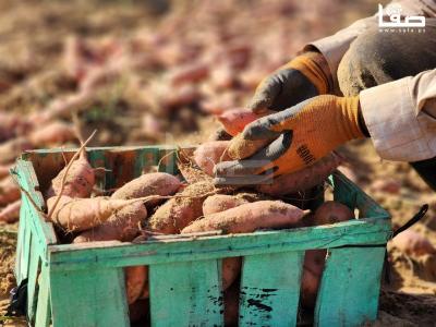 WhatsApp Image 2023-09-06 at 11.28.20 AM