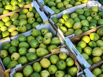 WhatsApp Image 2023-09-06 at 11.30.00 AM