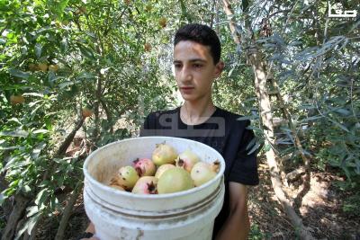 030923_GAZA_OSH_00 (23)