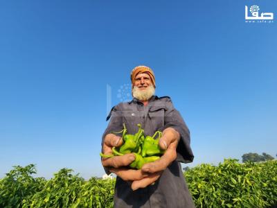 WhatsApp Image 2023-09-09 at 9.35.55 AM