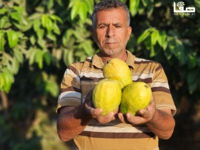 WhatsApp Image 2023-09-06 at 11.29.54 AM