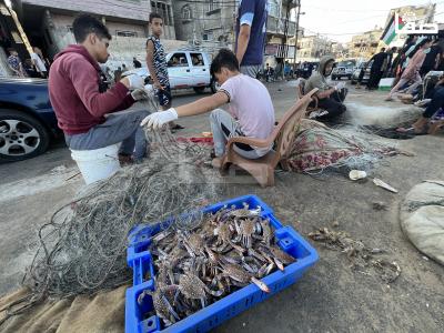 Photo 29-09-2023, 8 28 31 AM