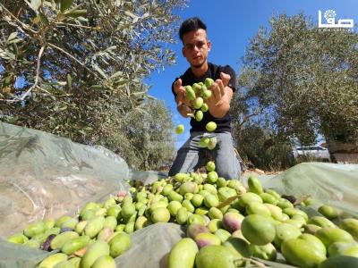 WhatsApp Image 2023-09-30 at 11.24.21 AM