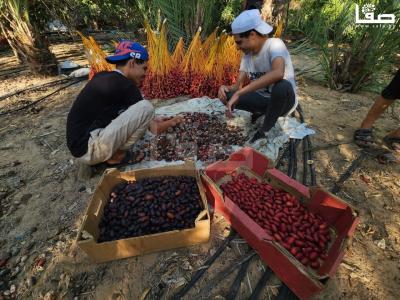 WhatsApp Image 2023-09-21 at 9.48.47 AM (1)