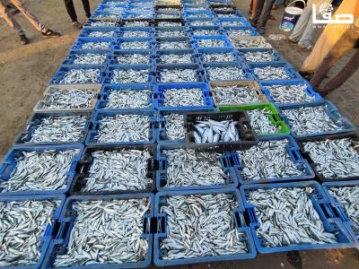 WhatsApp Image 2023-09-26 at 8.02.58 AM