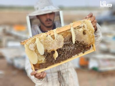 WhatsApp Image 2023-09-11 at 10.28.33 AM