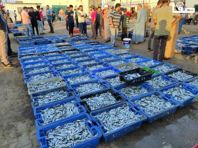 WhatsApp Image 2023-09-26 at 8.02.58 AM (1)