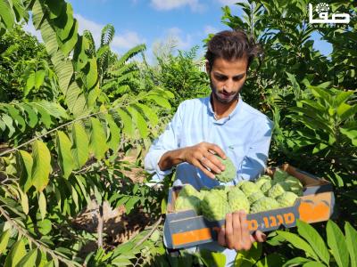 ٢٠٢٣٠٩٢٣_١٥٣٤٢٧