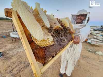 WhatsApp Image 2023-09-11 at 10.28.34 AM