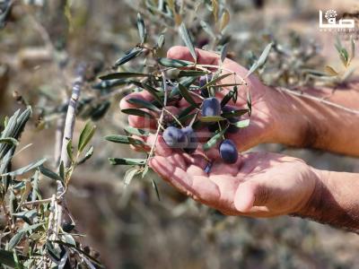 WhatsApp Image 2023-09-30 at 11.23.38 AM