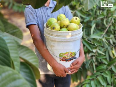 WhatsApp Image 2023-09-06 at 11.29.52 AM