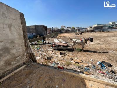 photo_٢٠٢٣-٠٩-٢٥_١٠-٤٠-٢٦