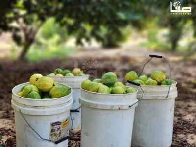 WhatsApp Image 2023-09-06 at 11.29.51 AM