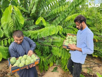 ٢٠٢٣٠٩٢٣_١٥٣٩٥٥