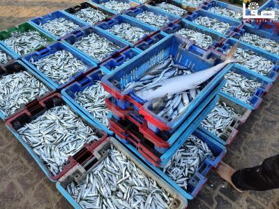 e741ab92-5a26-4925-9ec3-b2f2603d9fff